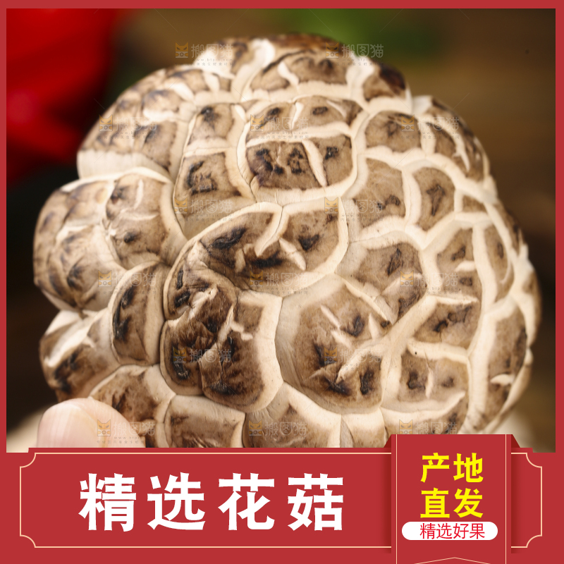 手里拿着花菇