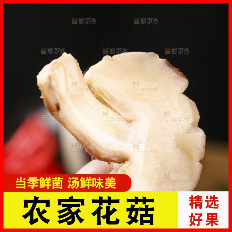 手里拿着泡发过的香菇