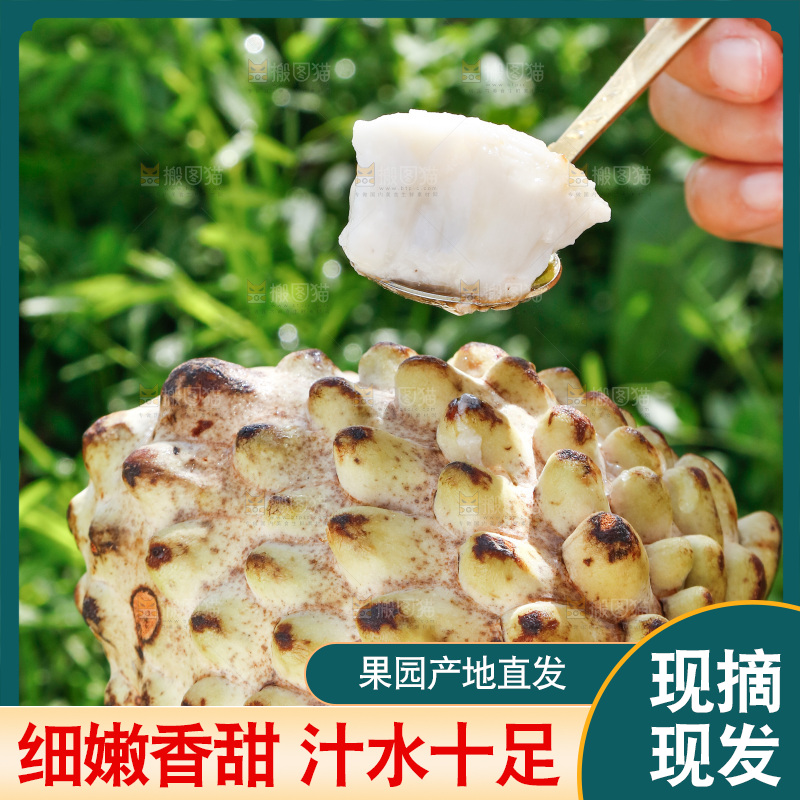 勺子上舀着释迦果果肉