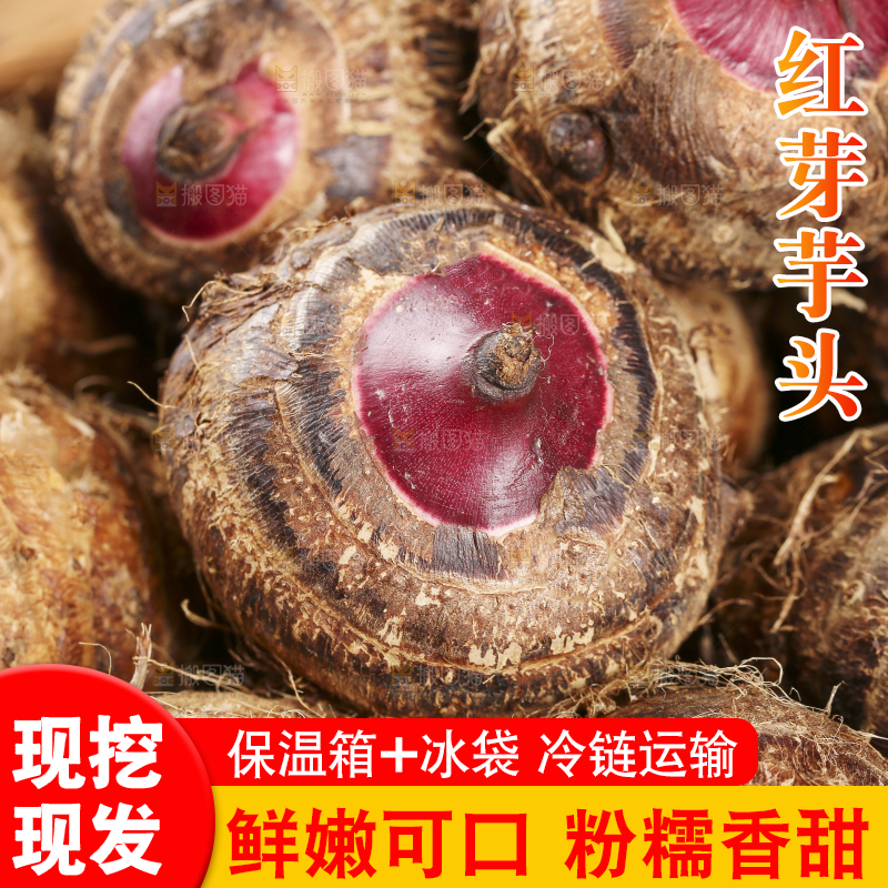 一篮红芽小芋头