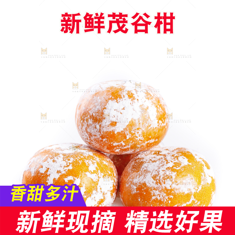 武鸣茂谷柑摆放在白底上