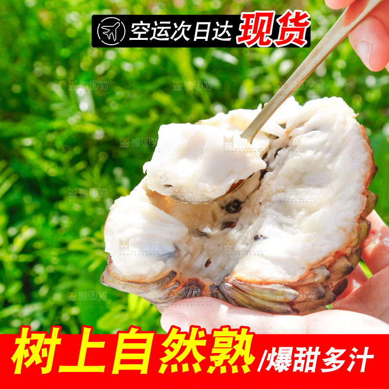 勺子上舀着释迦果果肉