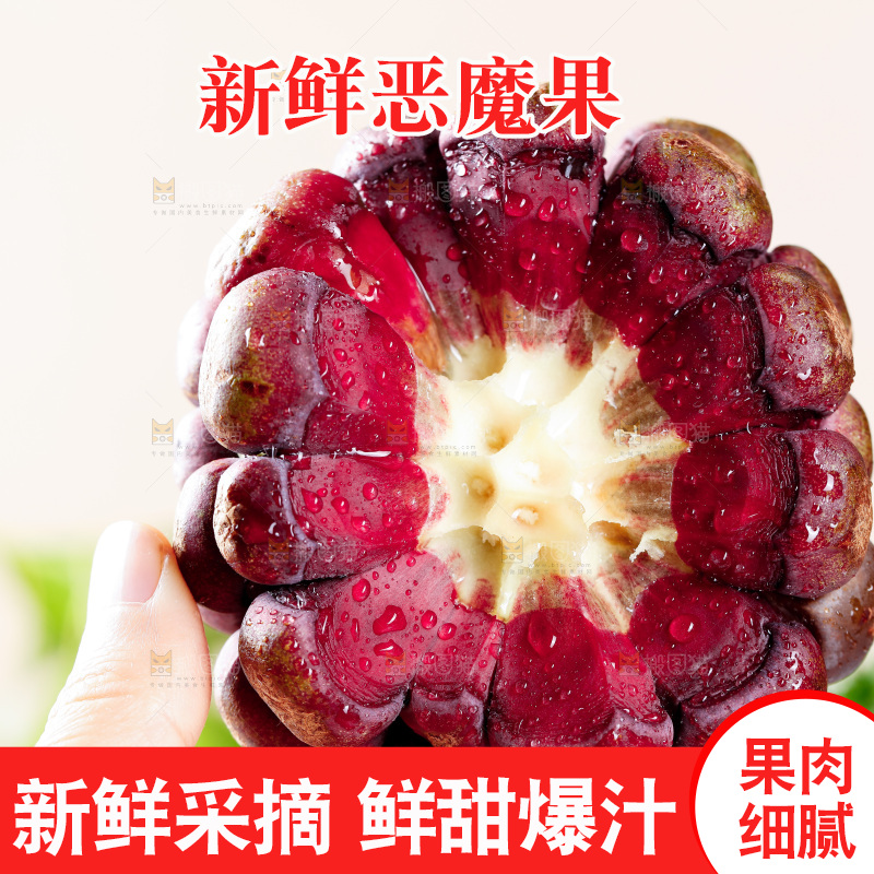 手里拿着恶魔果