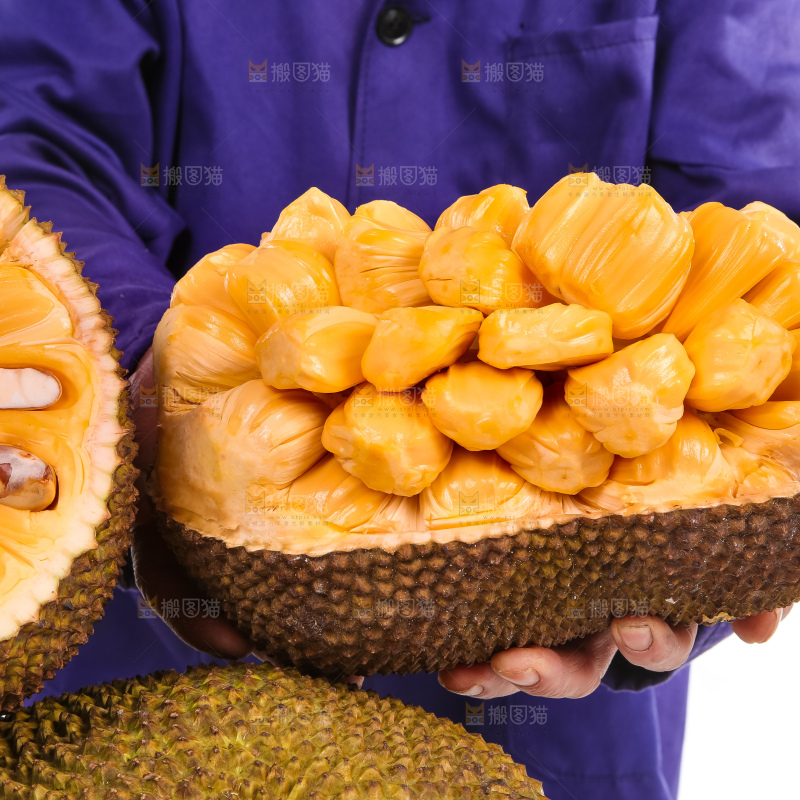 手里捧着进口红肉菠萝蜜