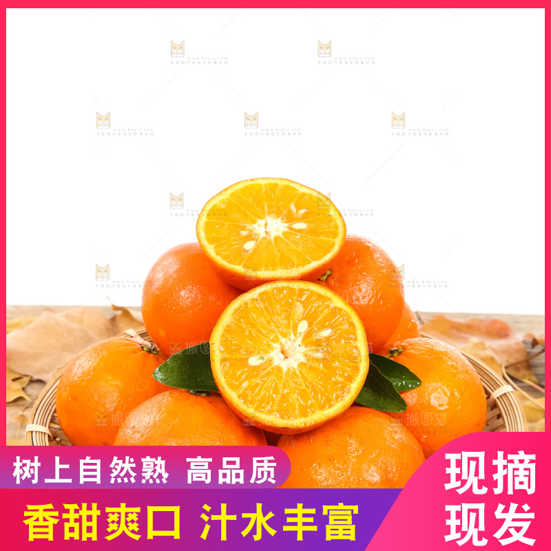 一篮新鲜广西沃柑