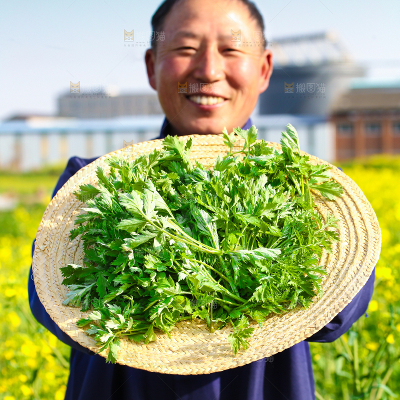 草帽里的艾叶