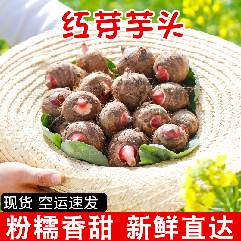 草帽里的小芋头