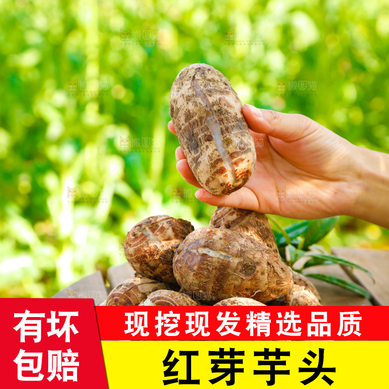 桌子上放着一盘蒸熟的红芽芋头
