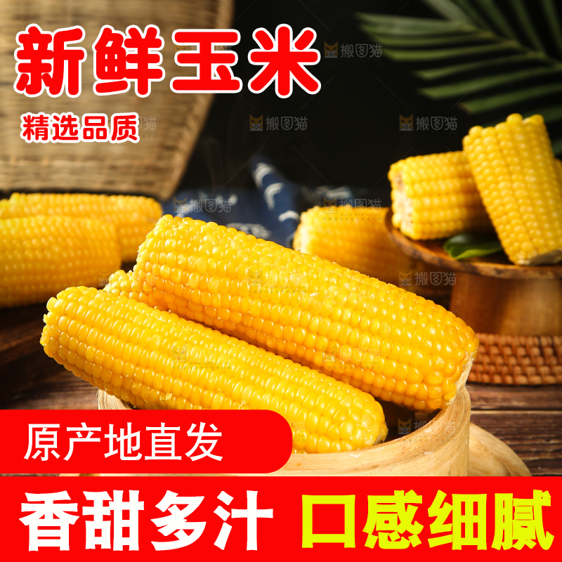 蒸笼里的玉米棒