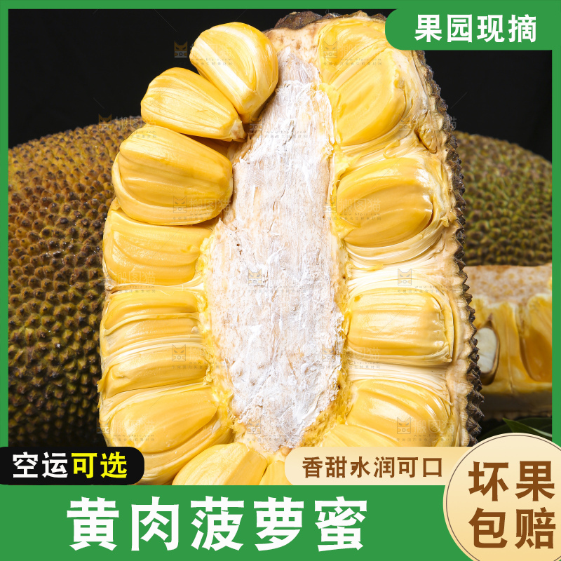 黑底上放着海南黄肉菠萝蜜
