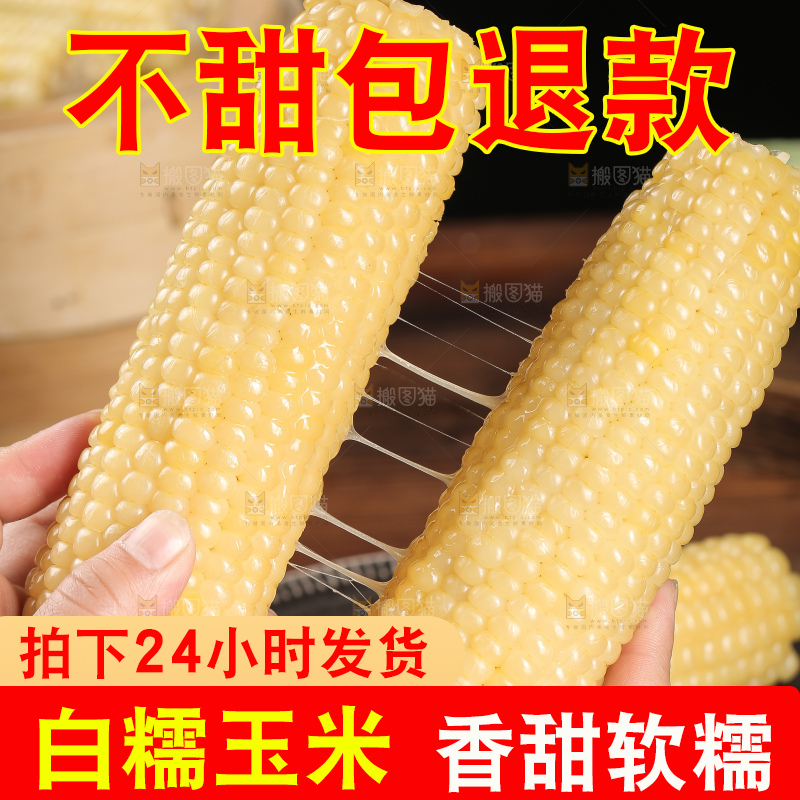 手里拿着甜糯玉米