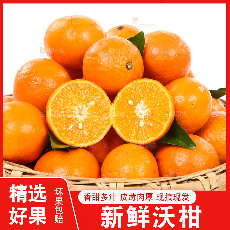 一篮新鲜广西沃柑