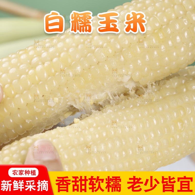 手里拿着白糯玉米棒