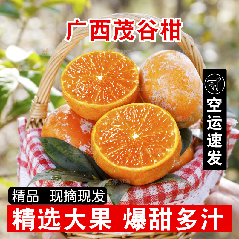 一篮新鲜茂谷柑