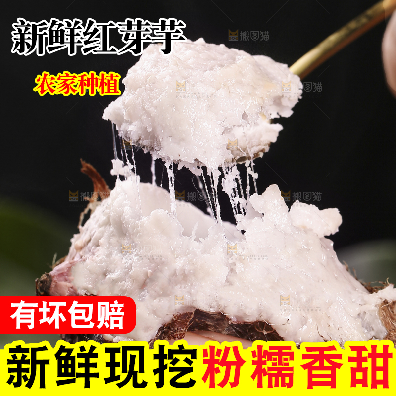 勺子上舀着芋头