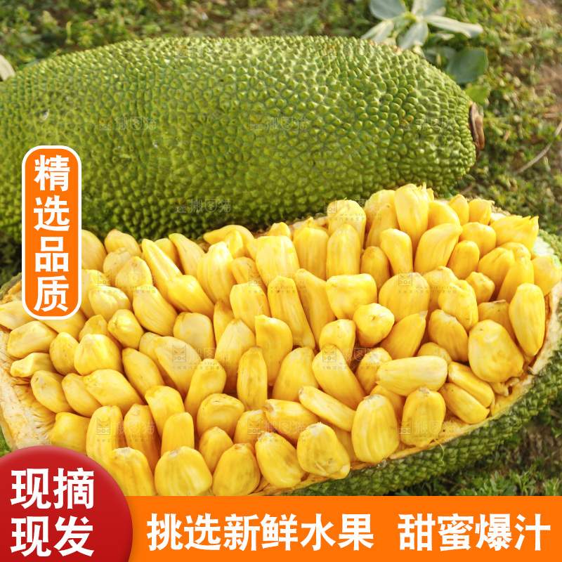 新鲜黄肉菠萝蜜