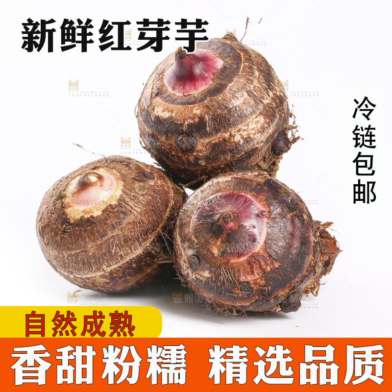 白底上摆放着红芽芋