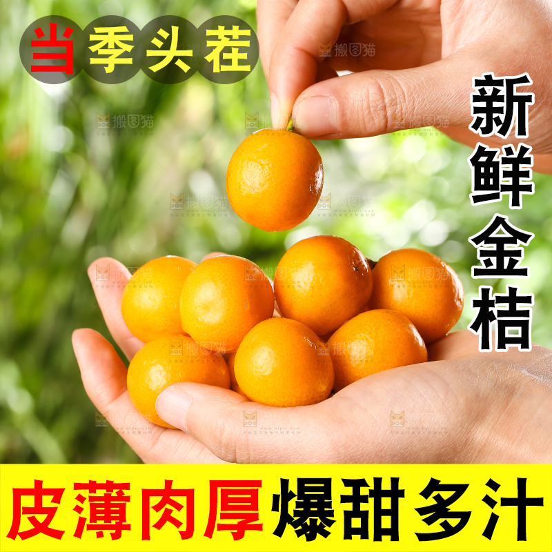 手里捧着金橘