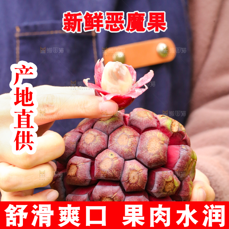 手里拿着恶魔果