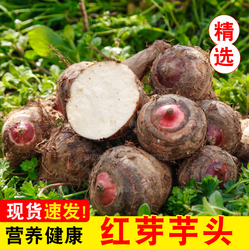 一堆新鲜红芽小芋头
