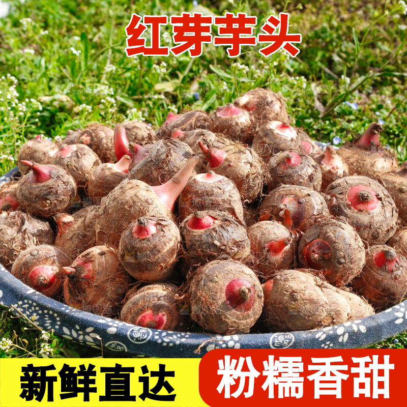 一篮新鲜红芽芋头