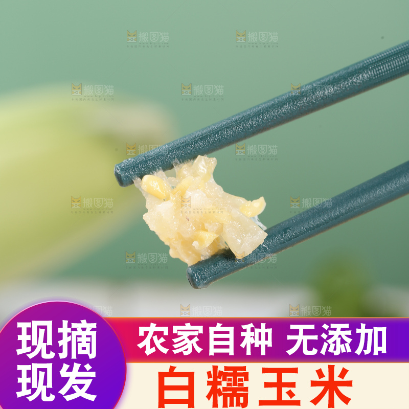 筷子上夹着糯玉米粒