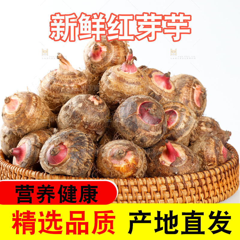 一篮红芽芋头