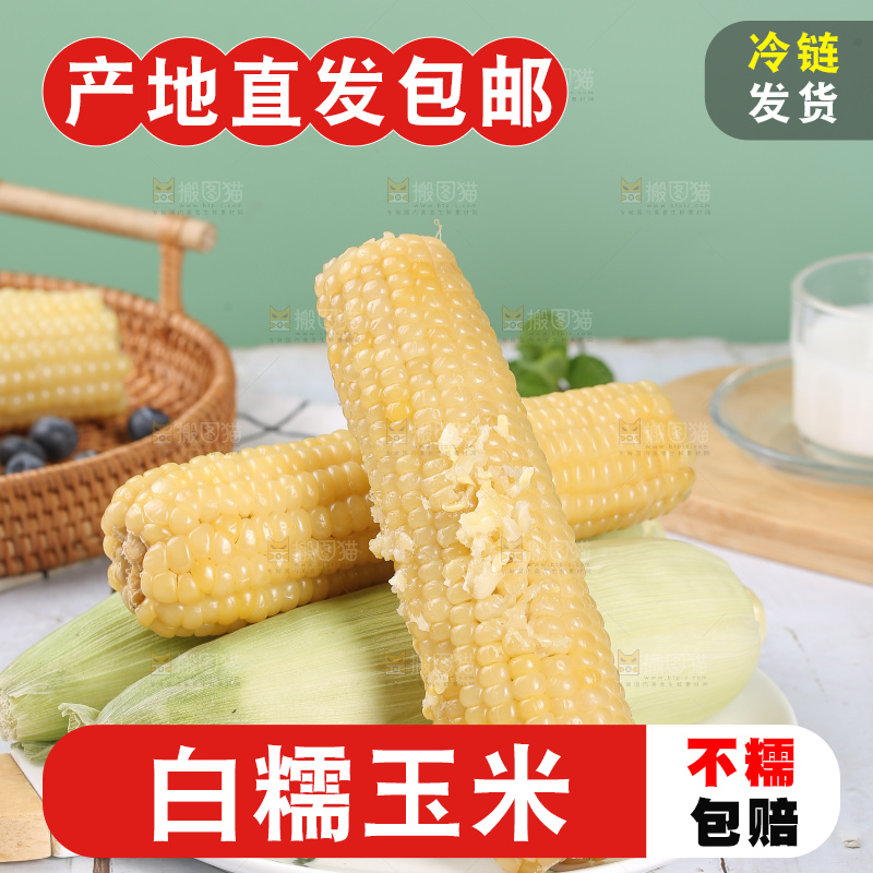 一盘东北白糯玉米