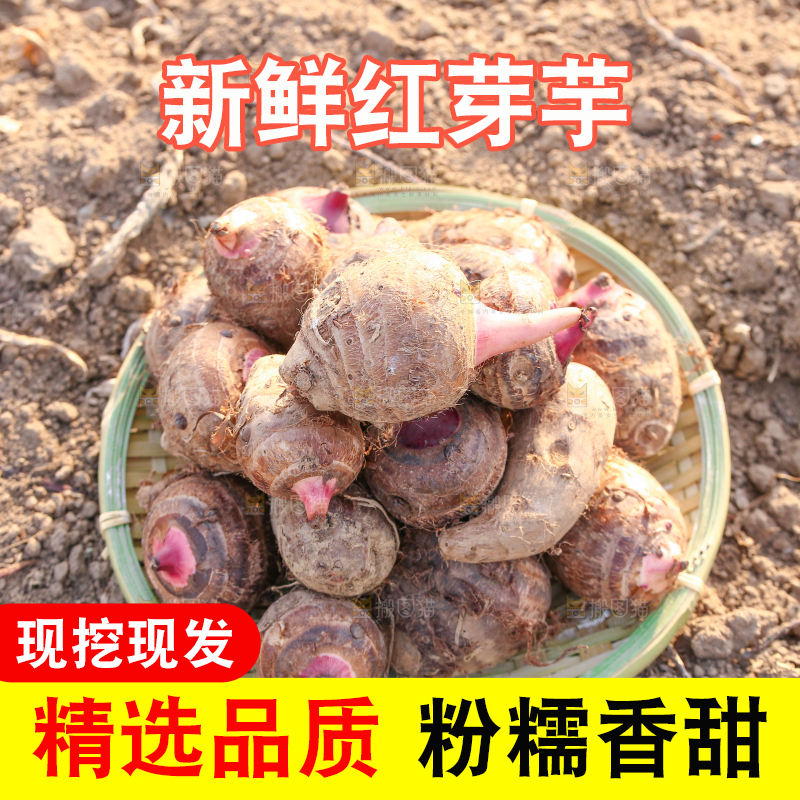 一篮红芽小芋头