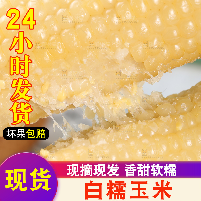 手里拿着白糯玉米棒