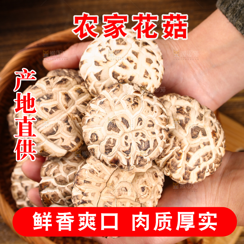 手里捧着干花菇