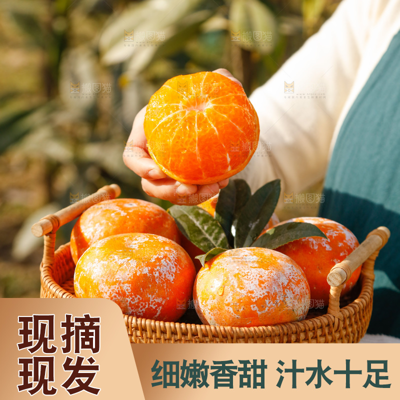 手里端着一篮广西茂谷柑