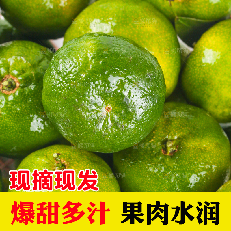 一堆新鲜清香蜜橘