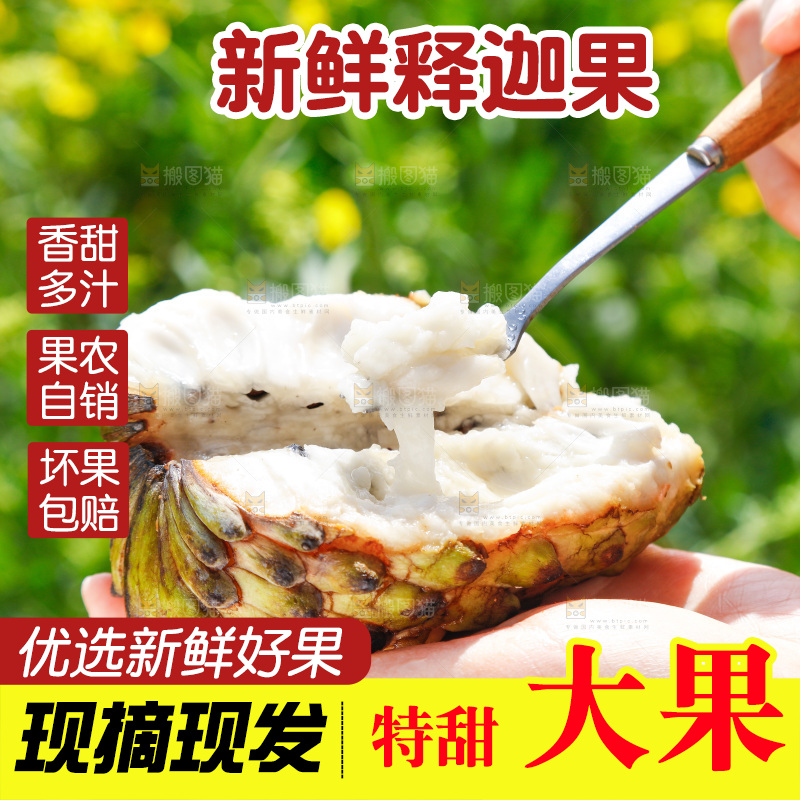 勺子上舀着释迦果果肉