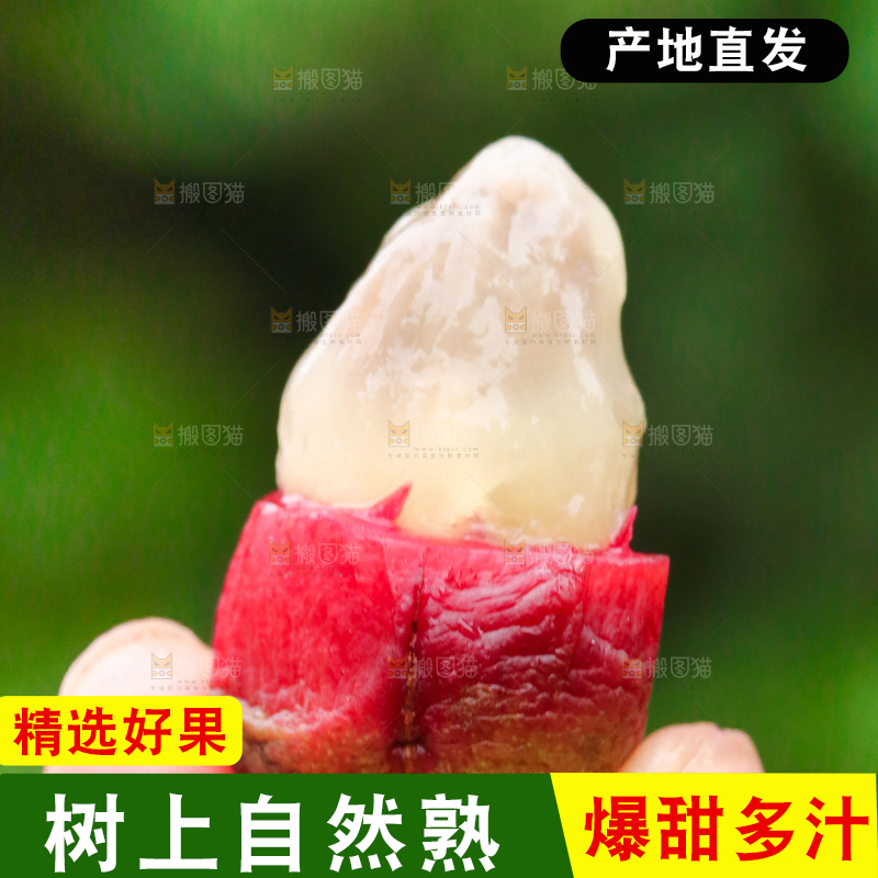 手里拿着一颗撕皮的布福娜