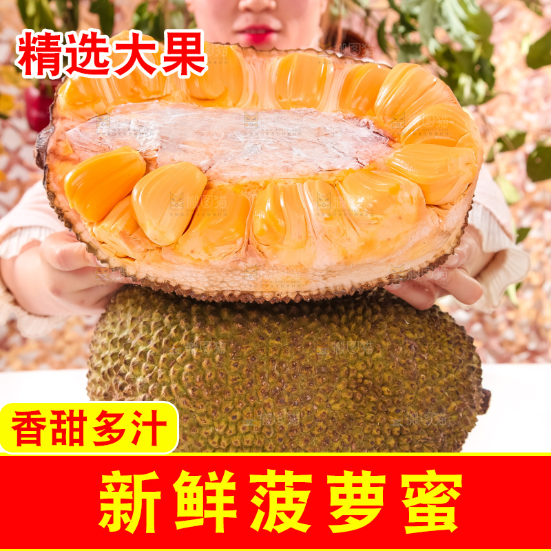 菠萝蜜对比图