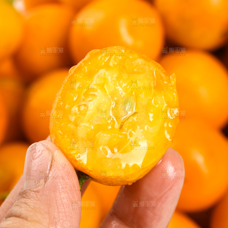 手里拿着金桔