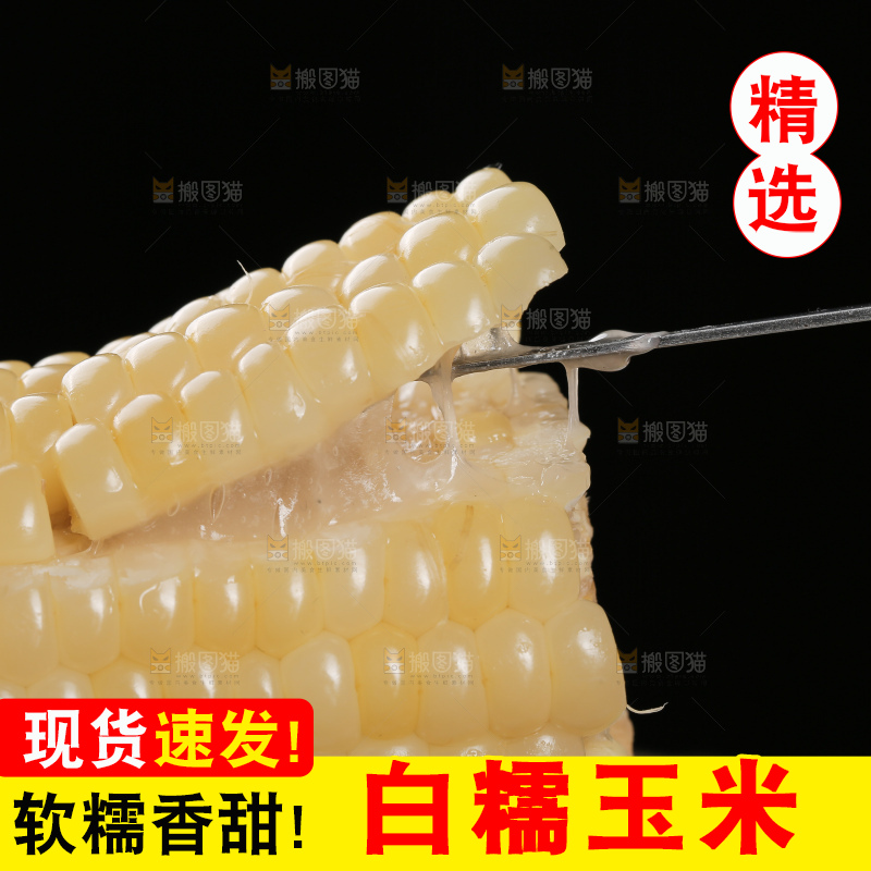 叉子上插着糯玉米