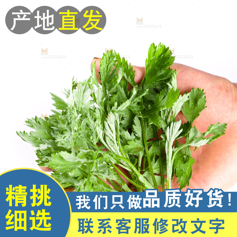 手里拿着艾蒿草