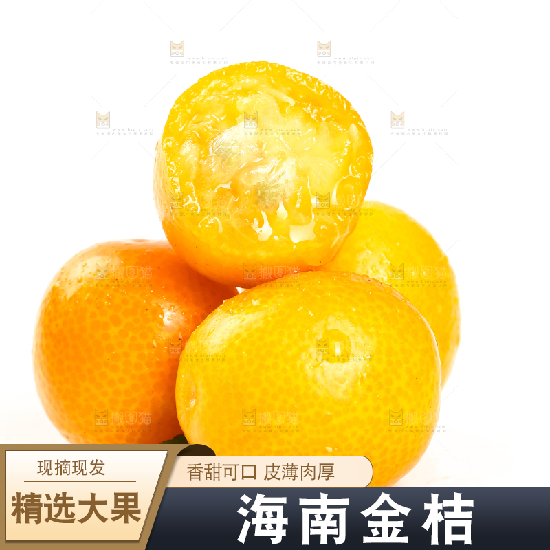 融安小金桔摆放在白底上