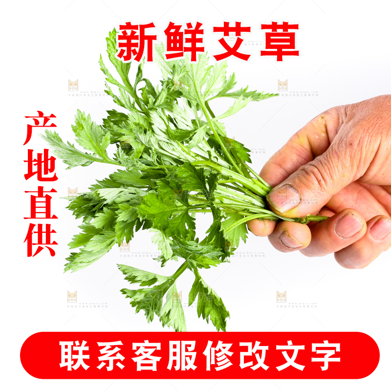 手里拿着艾蒿草