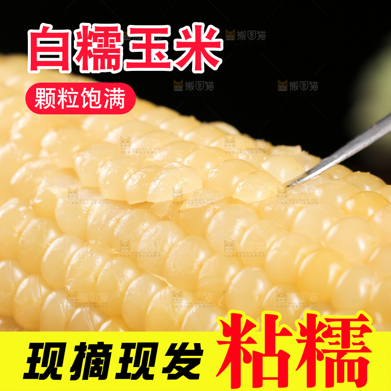 新鲜的甜糯玉米