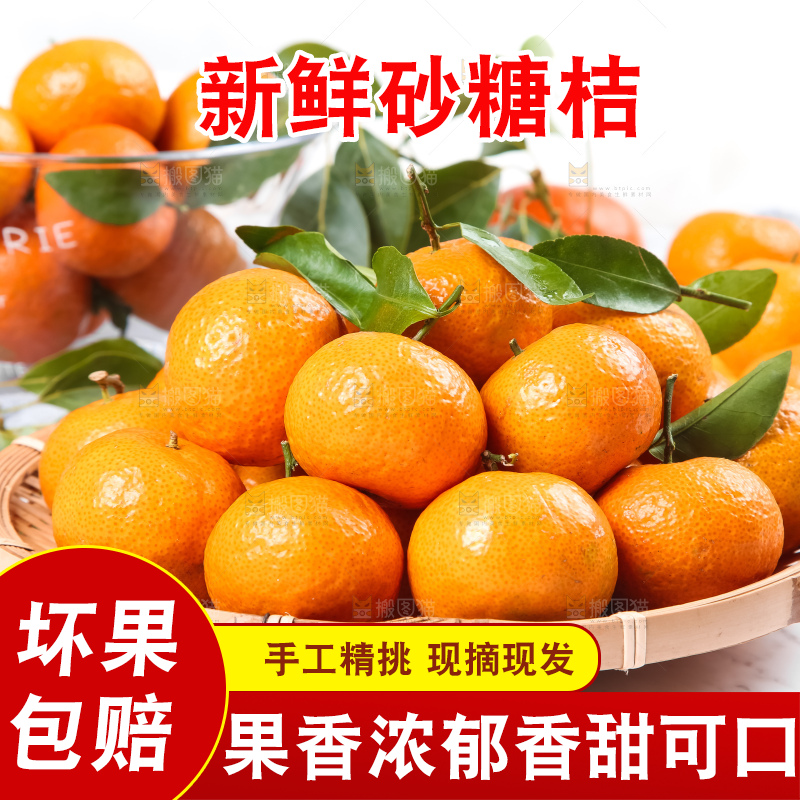 白底上放着一篮砂糖桔