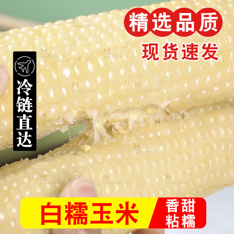 手里拿着白糯玉米棒