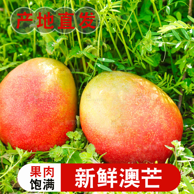 新鲜澳芒果
