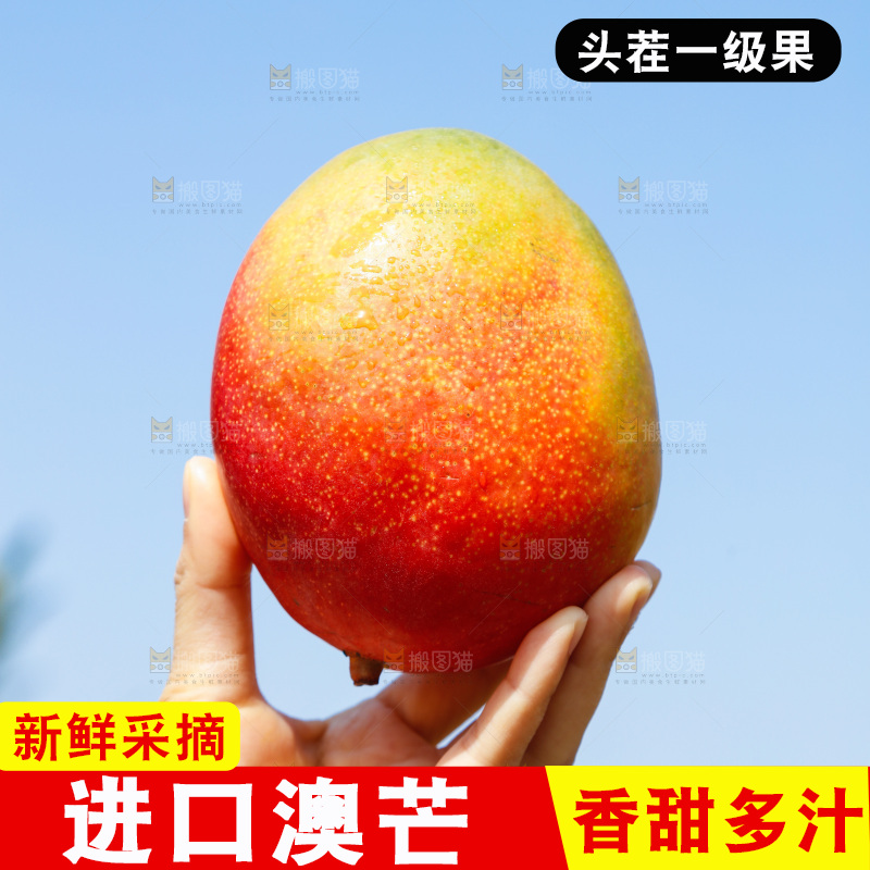 手里拿着澳芒