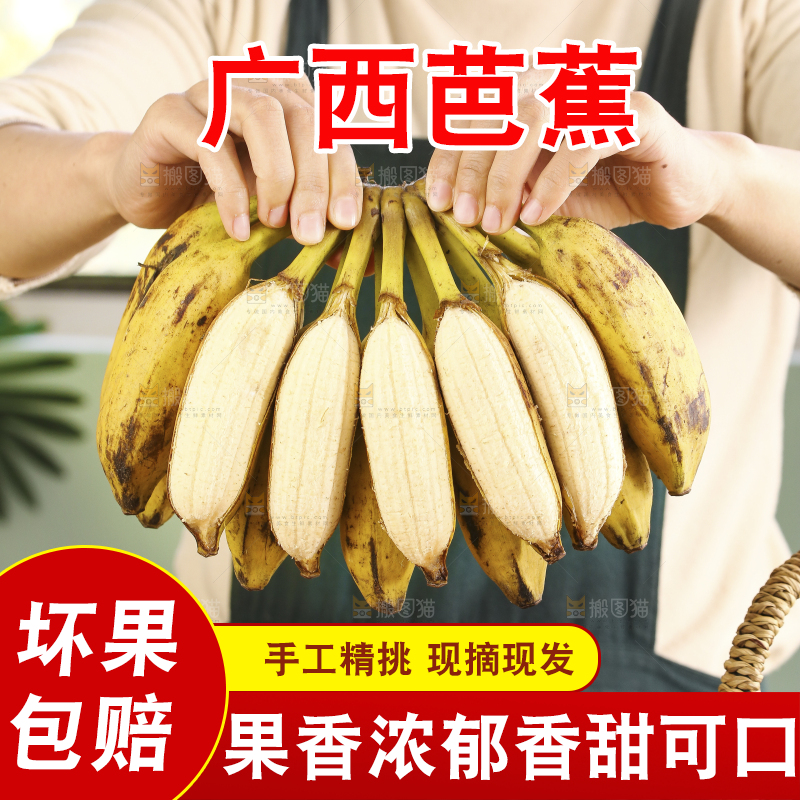 手里拿着广西芭蕉