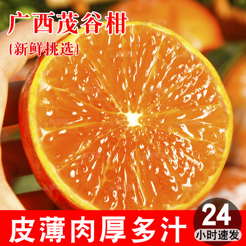 手里拿着切面的茂谷柑