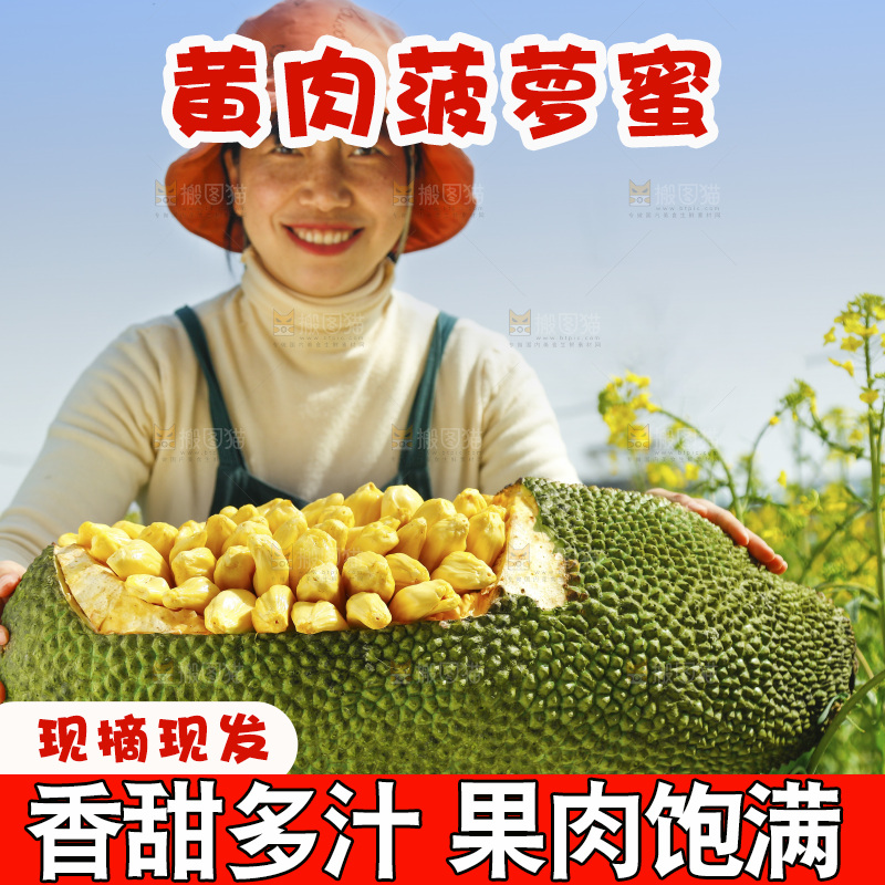 桌子上放着黄肉菠萝蜜