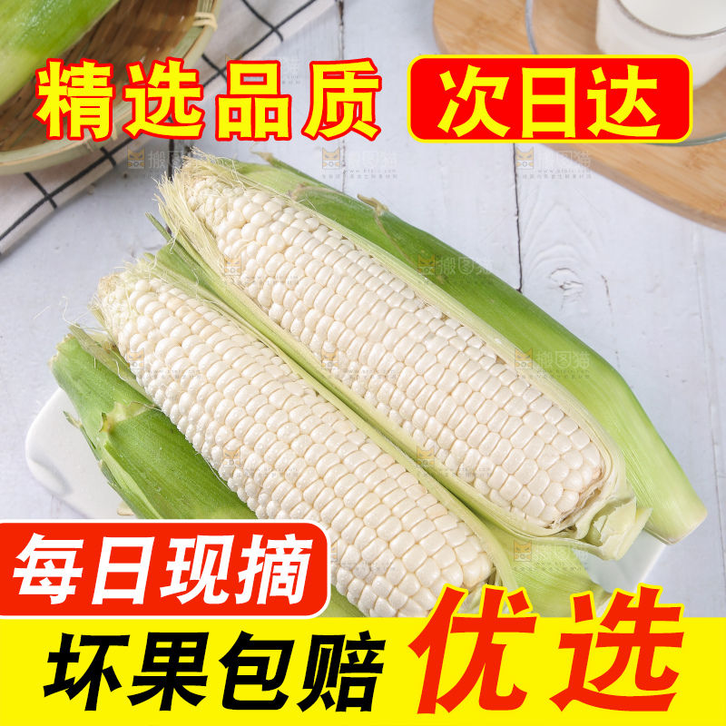 一堆白糯玉米棒